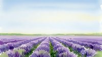Watercolor painting of purple lavender field rows stretching to horizon under soft blue sky. Peaceful countryside landscape for relaxation and aromatherapy themes.