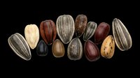 Assorted sunflower and mixed seeds isolated on transparent background, ready for clipart, stickers, t-shirt design, print on demand, and sublimation projects.