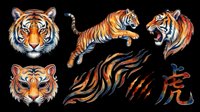 Tiger tattoo set with roaring, leaping, and portrait poses, claw marks, and Chinese symbol, isolated on transparent background. Great for t-shirts, stickers, print on demand.