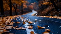 Wet asphalt road covered with fallen autumn leaves after rain, winding through forest with golden foliage and moody atmosphere. Seasonal nature background.