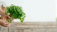 Fresh green parsley bunch held in hands over wooden table surface, suitable for cooking, recipe, culinary, and food styling projects.