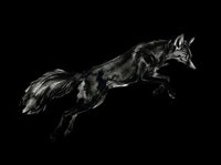 Black fox leaping mid-air, ink art style, isolated on transparent background. Ready for t-shirt design, stickers, print on demand, clipart, and sublimation projects.