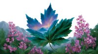 Vibrant maple leaf with turquoise and purple hues against blurred pink wildflowers and mountain landscape background creates dreamy natural composition.