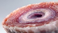 Raw beef meat roll spiral cross section showing marbled texture and fat layers for culinary cooking preparation and butcher shop display.
