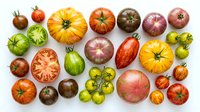 Assorted heirloom tomatoes in various colors and sizes arranged on white background, including red, yellow, orange, green and striped varieties, whole and sliced.