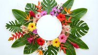 Tropical flower wreath with monstera leaves and colorful hibiscus blooms arranged in circle on white background for summer decoration and design projects.