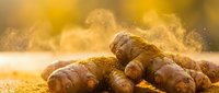 Fresh turmeric roots with golden powder creating aromatic cloud effect for cooking, spice trade, natural medicine and healthy lifestyle concepts.