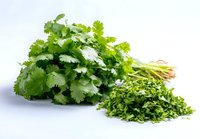 Fresh cilantro bunch with chopped herbs on white background, essential ingredient for Mexican, Asian, and Mediterranean cuisine.