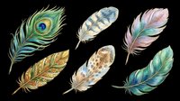 Isolated feathers in watercolor style on transparent background, ready for t-shirt design, clipart, stickers, sublimation, print-on-demand products and digital crafts.