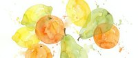 Fresh citrus fruits watercolor splash with lemons, oranges and limes in vibrant yellow, orange and green colors isolated on white background for healthy food designs.