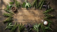 Fresh culinary herbs arranged in frame border on rustic wooden background with copy space for cooking and kitchen design projects.
