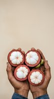 Hands holding four fresh mangosteen fruits with white flesh exposed against neutral background, showcasing tropical produce for food, nutrition, and agriculture content.