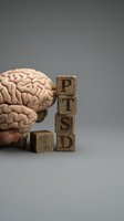 Anatomical brain model beside wooden blocks spelling PTSD on gray background, representing post-traumatic stress disorder awareness and mental health.