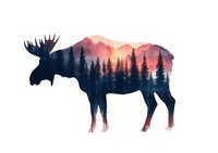 Silhouette of moose filled with misty mountain landscape and pine forest at sunset, double exposure effect on white background, wildlife art concept.