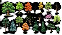 Isolated tree collection featuring summer oak, spring maple, autumn red maple, winter bare tree, yellow birch, green sycamore, bare elm, scots pine, blue spruce, small trunk, weeping willow, flowering cherry, and evergreen varieties on transparent background. Ready for clipart, t-shirt design, print-on-demand, sublimation, and sticker applications.