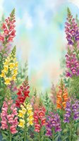 Watercolor snapdragon garden border with colorful blooms in pink, yellow, red, purple and orange on a soft pastel background with copy space.