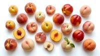 Assorted fresh peaches and nectarines with varied red, yellow, and pink hues arranged on white background, some cut in half showing pit and flesh.