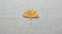 Golden ginkgo leaf on neutral linen texture background for autumn seasonal design and natural botanical decoration projects.