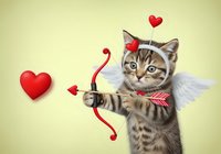 Tabby cat with white wings and cupid headband holding bow and arrow, shooting red hearts on pale yellow background, isolated for Valentine's Day designs, greeting cards, and love-themed projects.