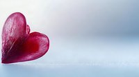 Delicate red rose petal shaped as heart on soft blue background, symbolizing love and romance for Valentine's Day cards or romantic concepts.