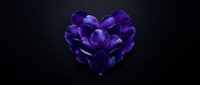 Purple flower petals arranged in heart shape on dark background for romantic design projects and Valentine's Day decorations.