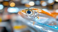 Macro shot of orange fish head with large blue eye and silvery scales swimming in aquarium water, soft bokeh lights in background creates dreamy underwater atmosphere.