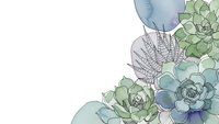 Watercolor succulent plants corner arrangement with seashells on white background for botanical design projects and natural home decor applications.