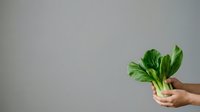 Hand holding fresh green bok choy vegetable against neutral background, suitable for cooking, nutrition, healthy eating, and organic produce marketing materials.