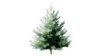 Watercolor pine tree with soft green hues on white background, isolated botanical illustration for nature-themed designs and holiday projects.