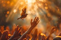 Silhouette of dove flying over raised hands against golden sunset bokeh background, symbolizing hope, freedom and spiritual awakening in warm autumn colors.