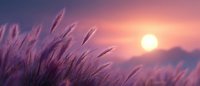 Dreamy panoramic view of wild grass silhouettes swaying in wind against purple sunset sky and bright sun disc, creating magical atmosphere.