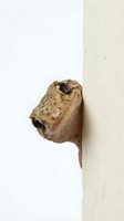Small brown gecko lizard peeking around white wall corner with curious expression and large eyes in minimal indoor setting.
