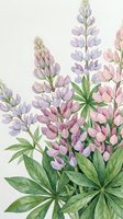 Watercolor lupine flowers in soft purple and pink tones with green leaves on textured paper background for botanical art and spring garden designs.