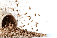 Sunflower seeds scattered and flying from burlap sack on white background, dynamic food photography with natural brown tones and motion effect.
