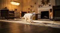 White cat sitting on elegant living room rug near fireplace with crystal chandelier and luxury furniture creating cozy home interior atmosphere.