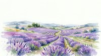 Watercolor lavender field landscape with purple blooming rows, winding path, and distant hills on white background, isolated for design use.