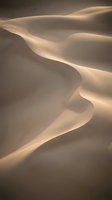 Flowing sand dunes with soft golden light creating dramatic shadows and curves in desert landscape for travel and nature backgrounds.
