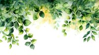 Fresh green leaves cascade from above on white background, creating natural border with soft sunlight glow effect. Watercolor foliage design element for spring and summer projects.