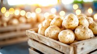 Fresh organic potatoes in rustic wooden crate against blurred warm bokeh background. Natural farm produce with earthy texture and golden lighting.