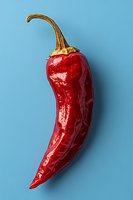 Dried red chili pepper with curved stem on blue background for culinary and spice themed designs.