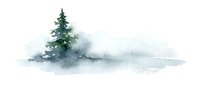 Watercolor winter landscape with evergreen pine tree in snowy field, soft gray and green tones for seasonal designs and nature artwork.