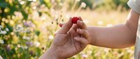 Two hands holding together outdoors in a garden with blooming flowers and green foliage, symbolizing love, connection, family bonding and togetherness in nature.