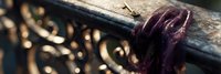 Macro shot of purple glass wine bottle neck resting on dark wooden surface with soft bokeh background creating atmospheric composition for wine industry.