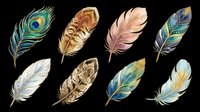 Colorful decorative feathers set isolated on transparent background, ready for stickers, sublimation, print on demand, clipart, and t-shirt design use.