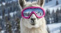 Funny llama wearing pink ski goggles in snowy mountain landscape. Humorous winter sports concept for holiday cards and seasonal marketing campaigns.