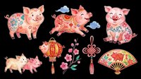 Cute pigs with ornamental patterns isolated on transparent background. Ready for t-shirt design, clipart, stickers, sublimation, and print-on-demand products.