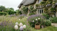Charming thatched cottage with lavender garden and wicker basket in countryside setting. Traditional English home surrounded by purple flowering plants and herbs.