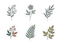 Botanical line art illustrations featuring six isolated plant stems and foliage designs with muted green and earth tones, suitable for design projects.