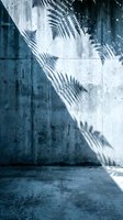 Fern leaf shadows cast on weathered concrete wall and floor, creating dramatic light and shadow play for architectural and design projects.