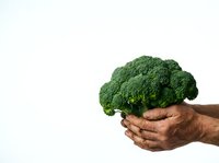 Hands holding fresh green broccoli floret isolated on white background. Suitable for healthy eating, nutrition, organic produce, and food marketing campaigns.